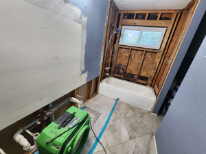 Water Damage Restoration & Mold Removal in Houston, TX