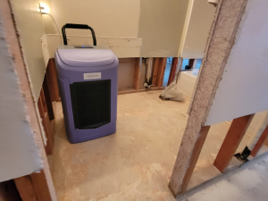Water damage restoration after a toilet tank busted and flooded this Houston, TX house