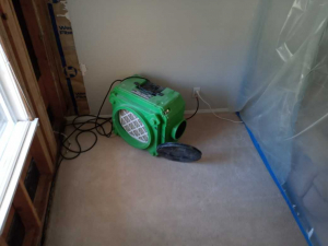 Water Damage Restoration & Mold Removal in Houston, TX